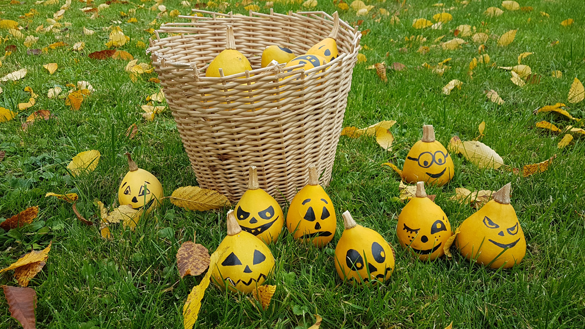 mini_kleine_kürbisse_zu_halloween